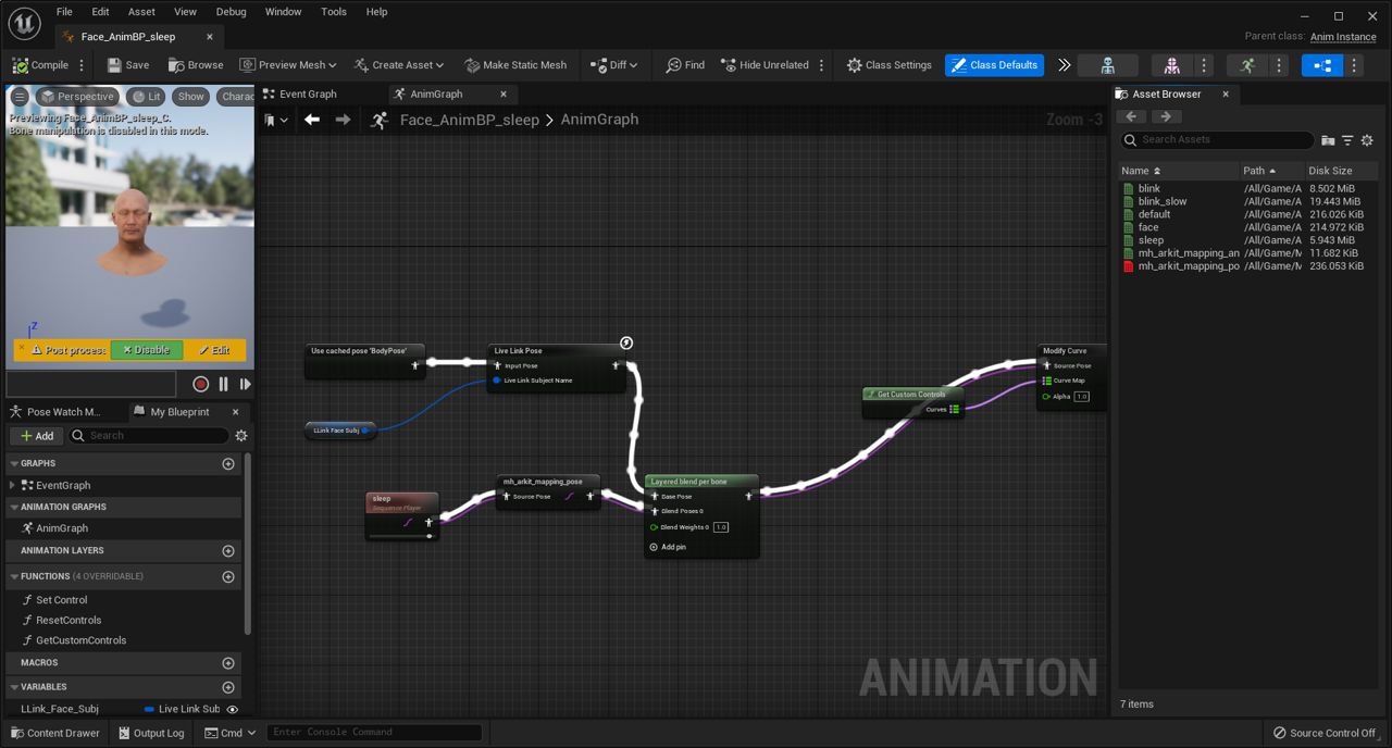 Face Animation